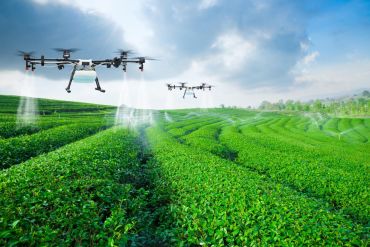 Bitkilərin mühafizəsi